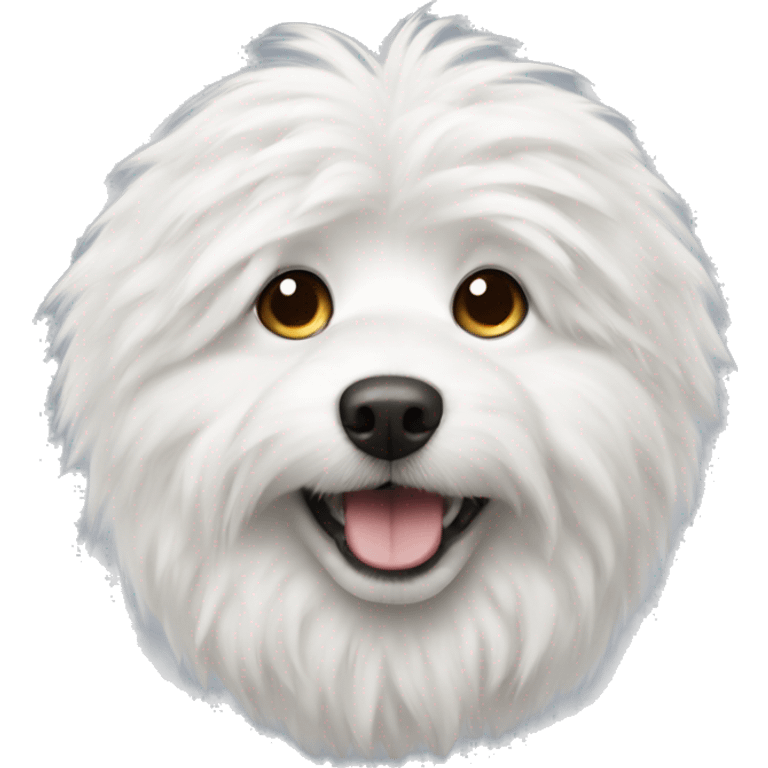  white fluffy dog emoji