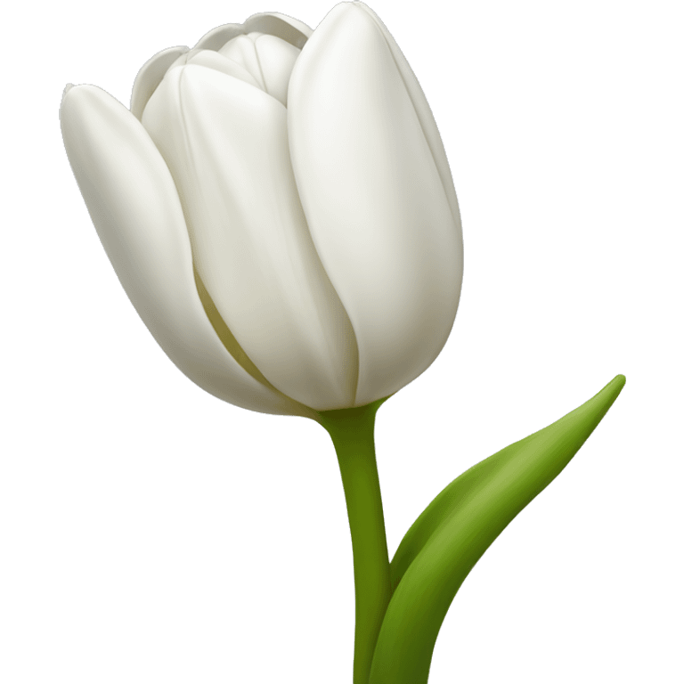 white tulip bouquet  emoji