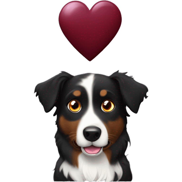 Small black australian shepherd dog with huge maroon heart emoji