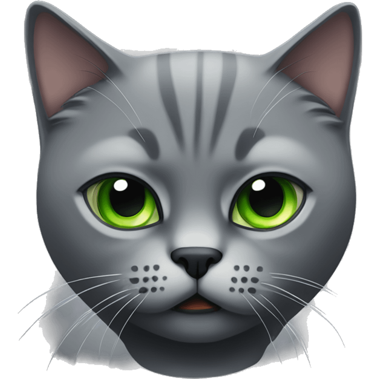 Dark grey angry British short hair cat with green eyes  emoji