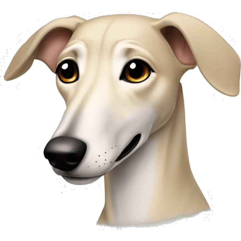 Cute Italien greyhound boy beige color emoji