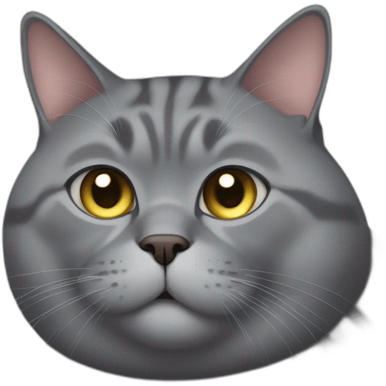 Obese grey cat emoji