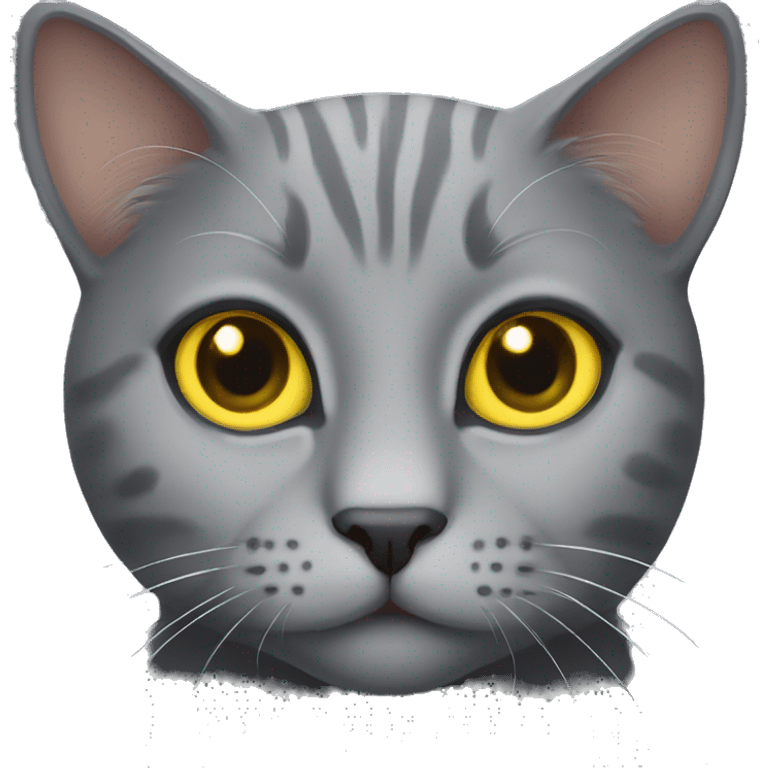 grey cat yellow eyes cute emoji