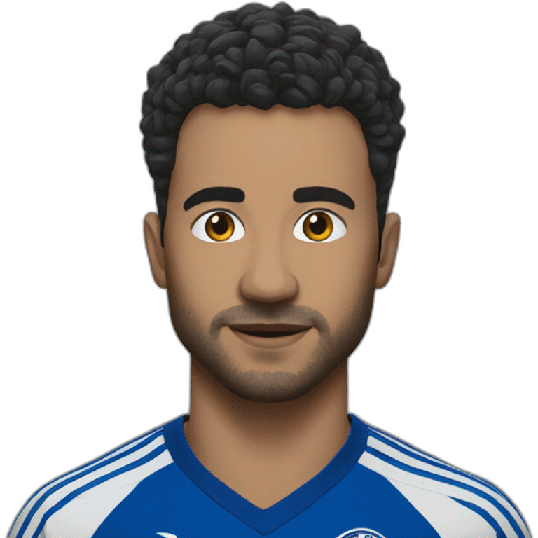 Schalke emoji