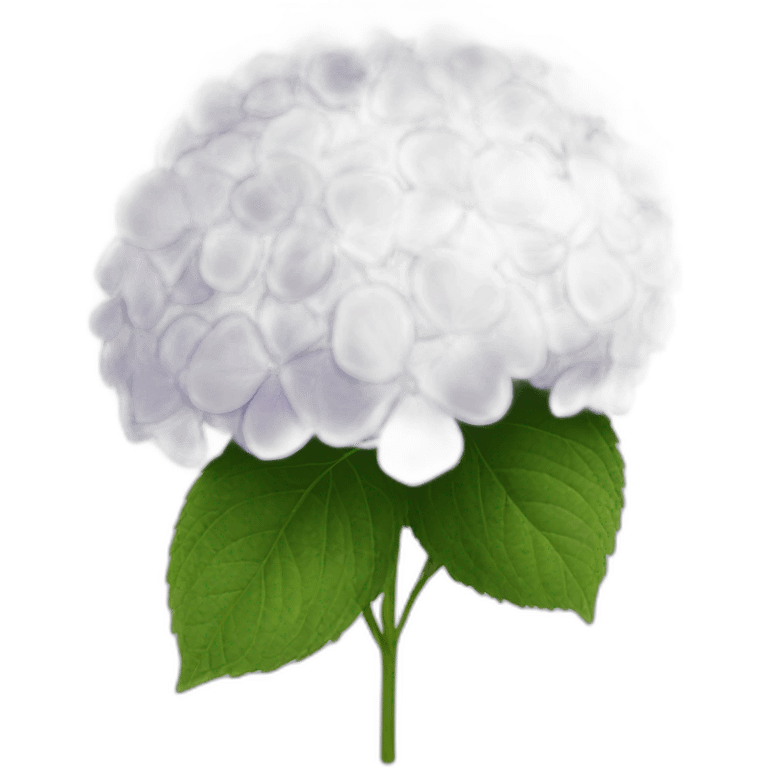 hydrangea emoji