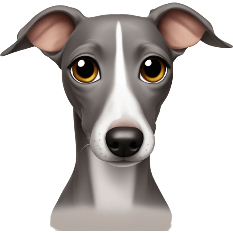 Cute Italian Greyhound emoji