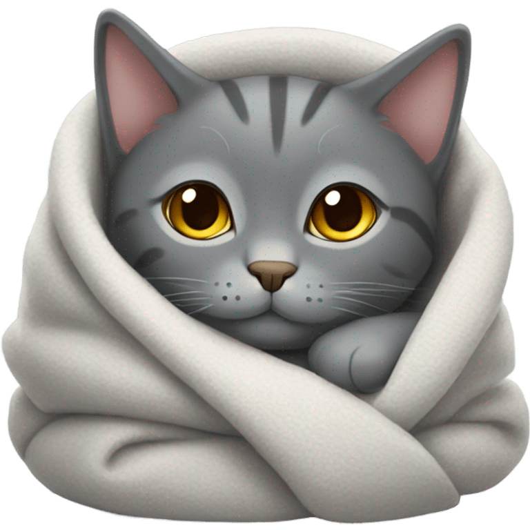 Gray cat snuggled in blanket emoji