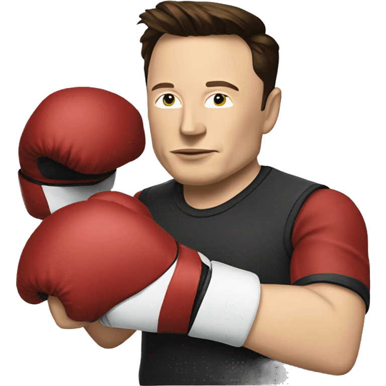 Elon musk with boxing gloves  emoji