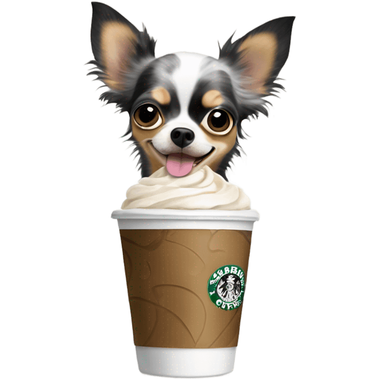 Black dapple Merle long hair chihuahua drinking Starbucks  emoji