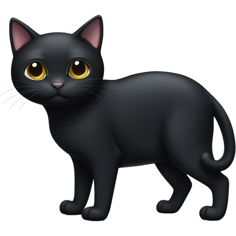 Black cat with white belly and white feet emoji