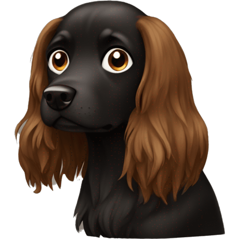 Autumn-black-brown-dog-long-hair emoji