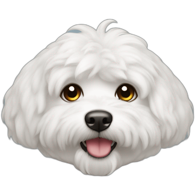 Bichón maltés emoji