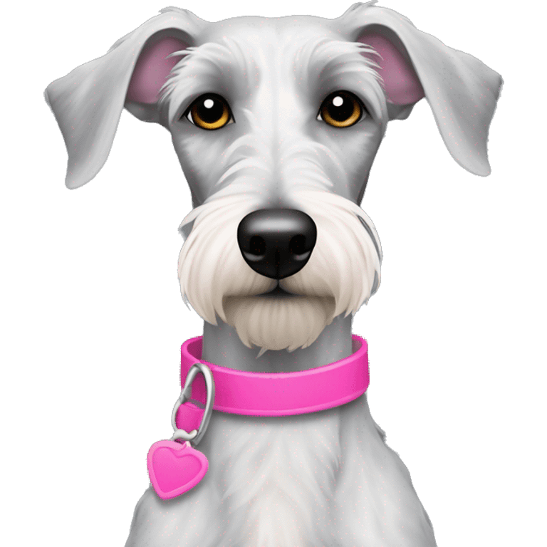 Scruffy Bedlington Whippet with pink collar  emoji