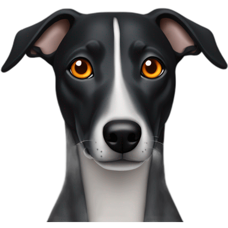 black whippet with orange eyes emoji