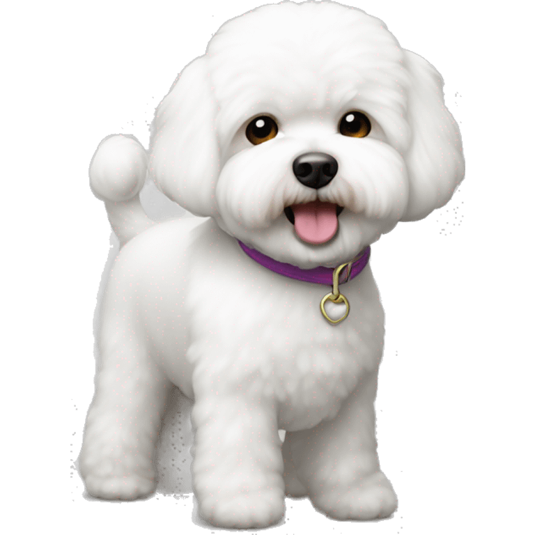 White bichon frise  emoji