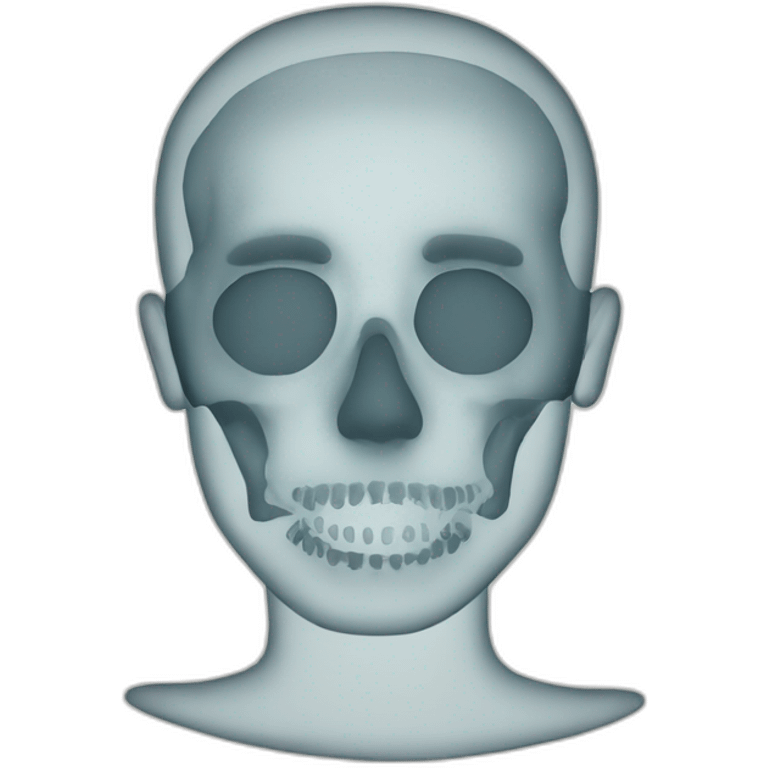 a document xray emoji