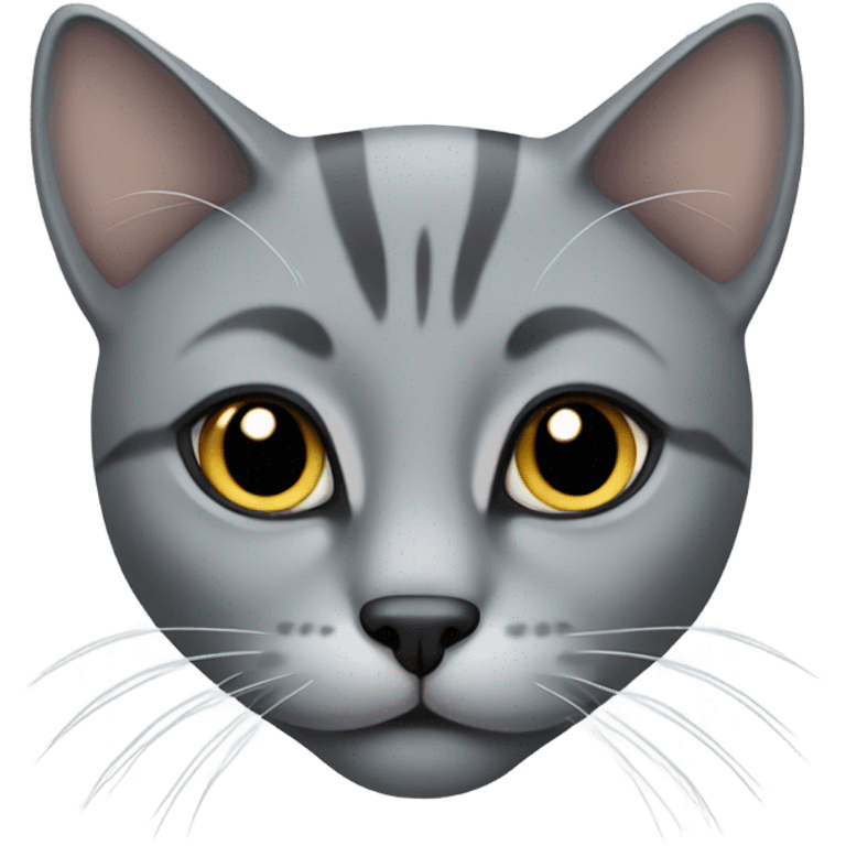 grey cat with black nose emoji