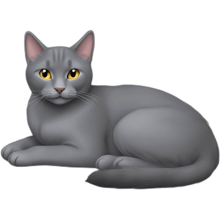 fluffy grey korat breed cat sleeping female emoji