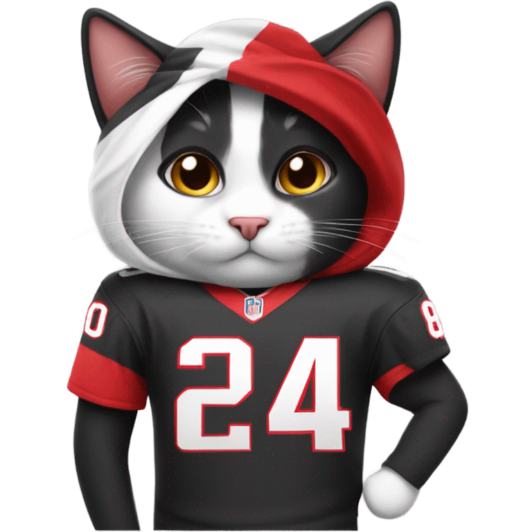 A black and white cat wearing a Washington commanders jersey  emoji