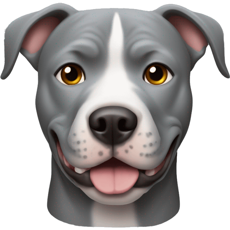 grey pitbull dog face emoji