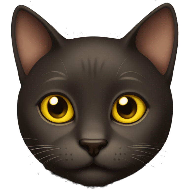 Dark brown cat with yellow eyes  emoji