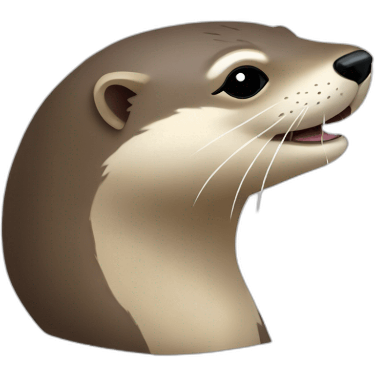 Loutre sur une tu emoji