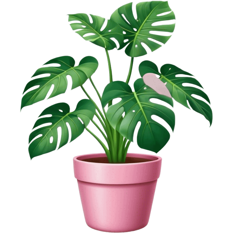 Monstera plant in a pink pot emoji