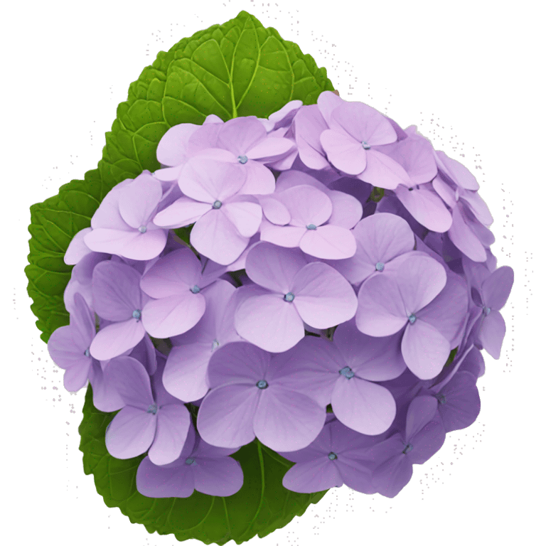 Hydrangea emoji