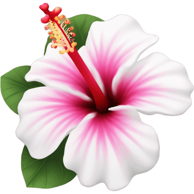 white and pink hibiscus flower  emoji