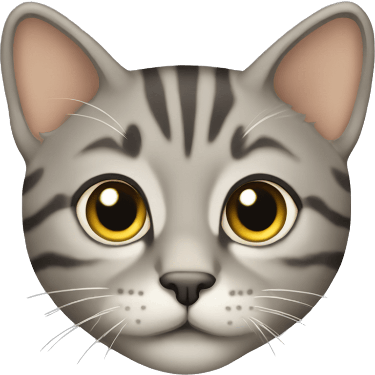 grey tan tabby emoji