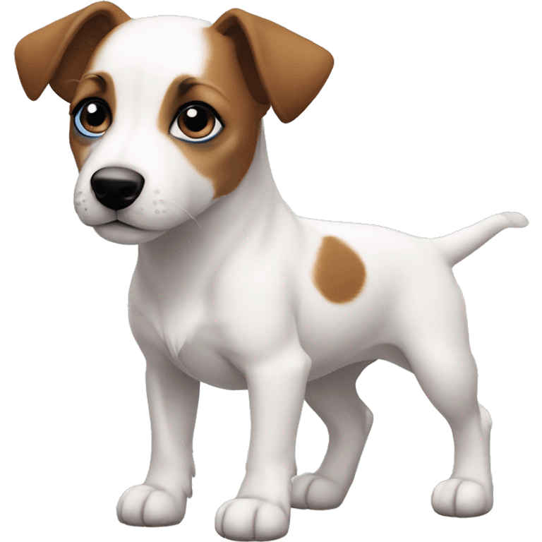 Muscular Jack Russel Terrier Puppy all white fur blue eyes, brown spot on right eye  emoji