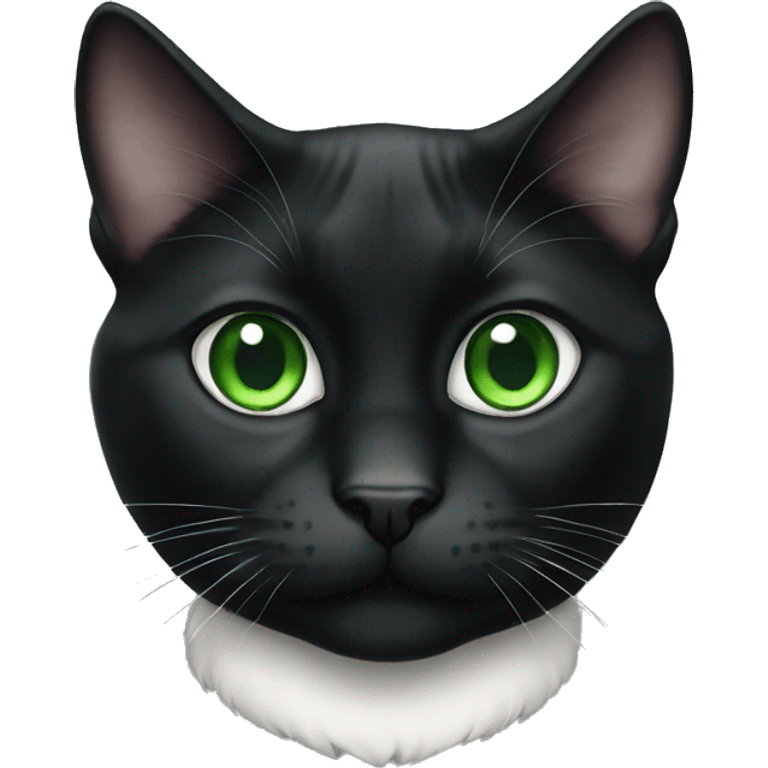 Tuxedo cat with green eyes emoji