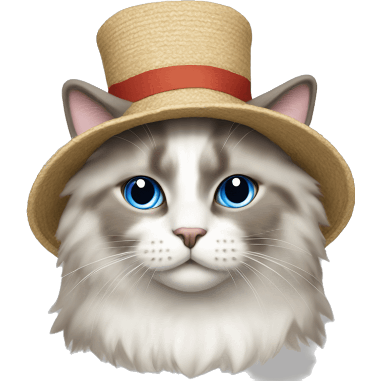 Ragdoll cat with a hat that says “Bongus” emoji