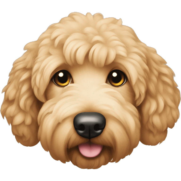 goldendoodle  emoji