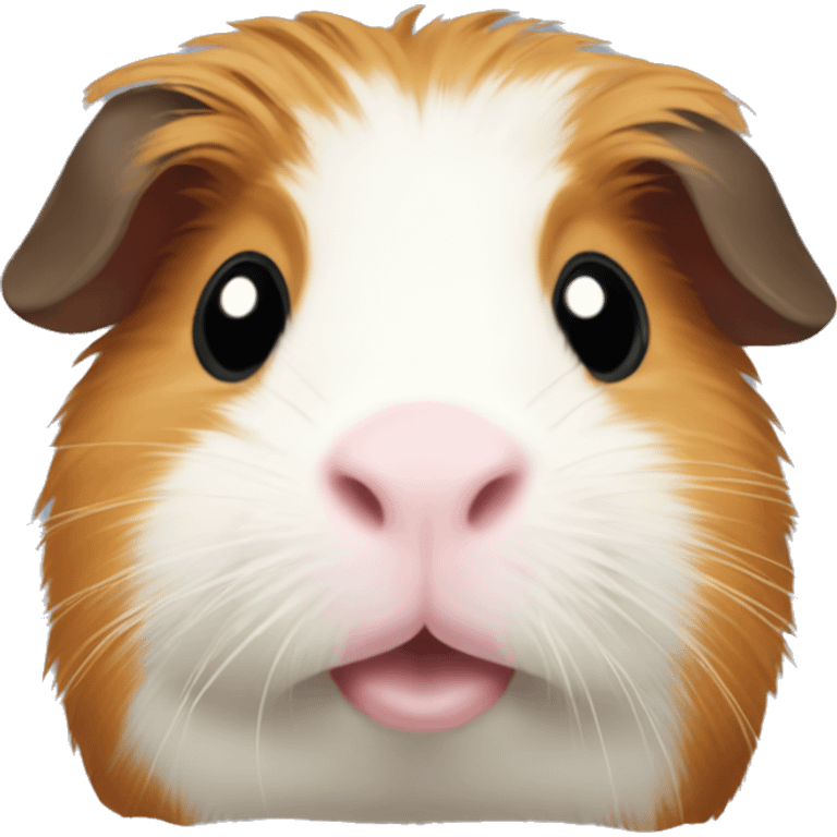 Guinea pig  emoji