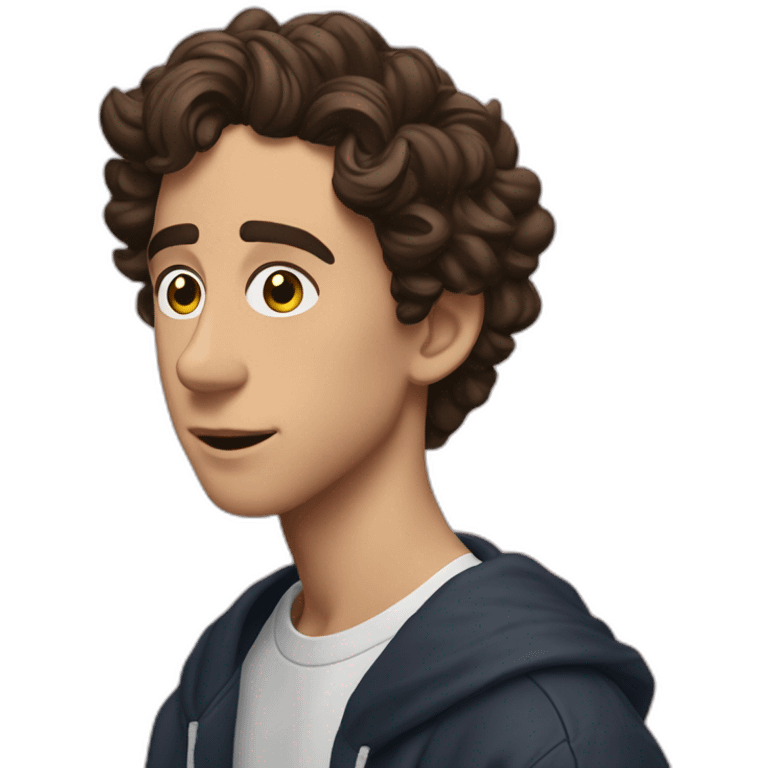 Timothée chamalet emoji