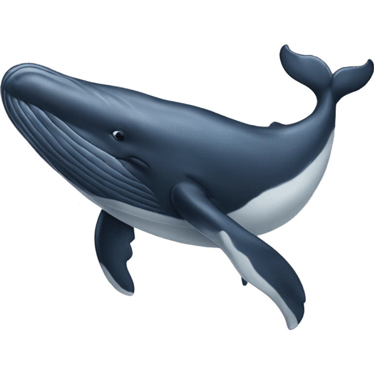 the whale emoji