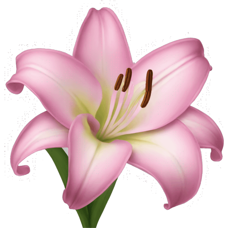 pink lily emoji