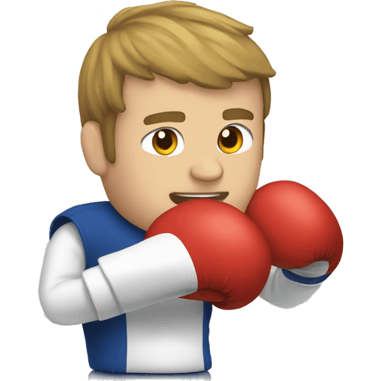 Macron boxing emoji