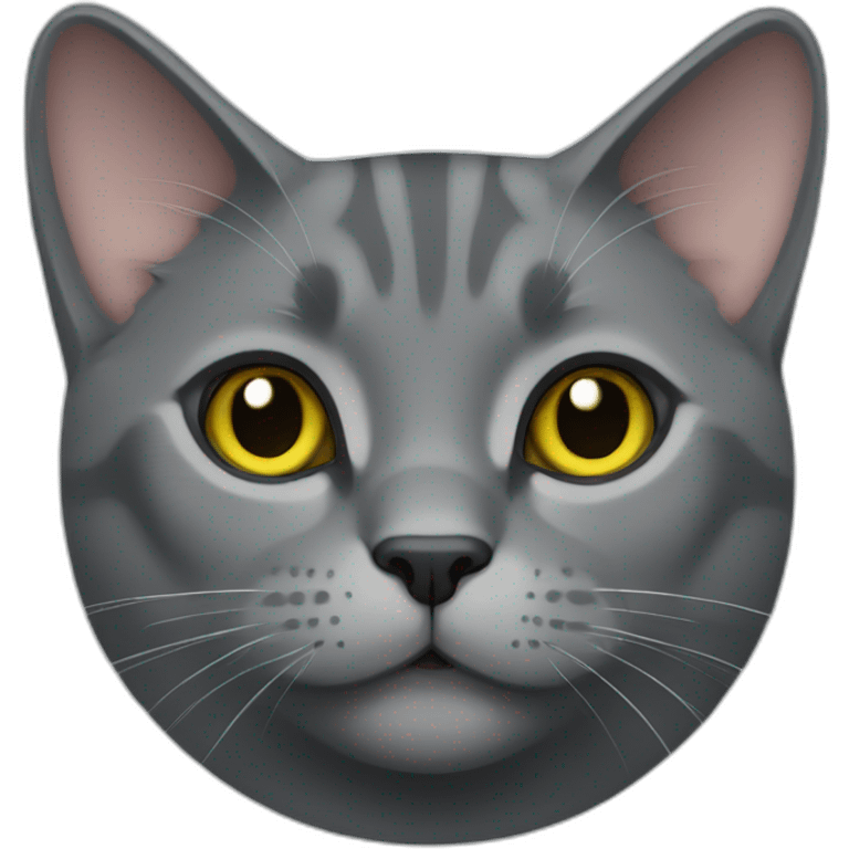 Chartreux cat emoji