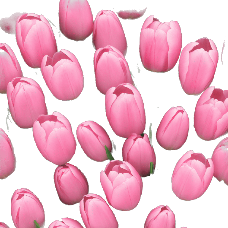 Baby pink tulips emoji