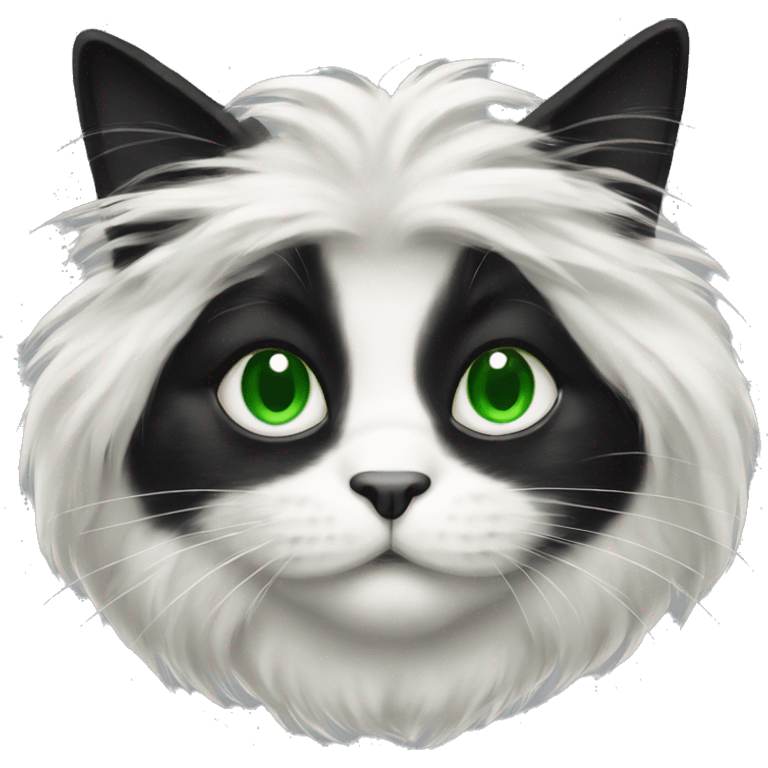 scottish long-haired black and white cat with green eyes emoji