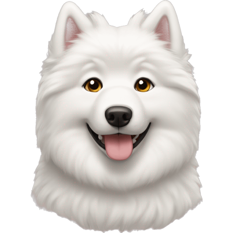 Two couple samoyed  emoji