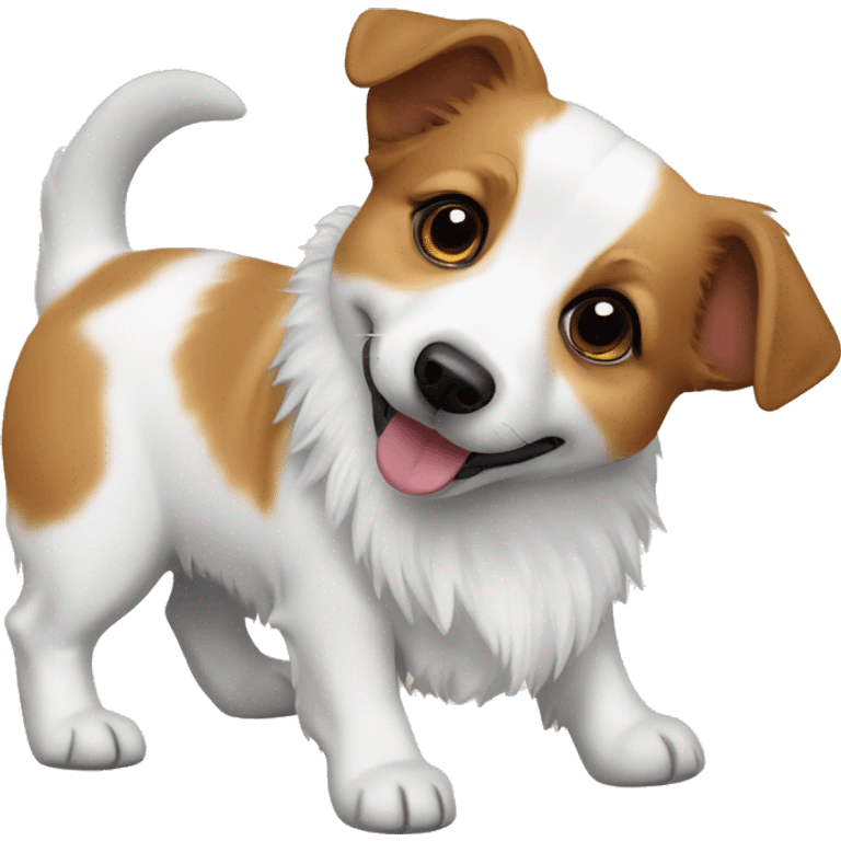 jack russell broken together with fluffy corgi emoji