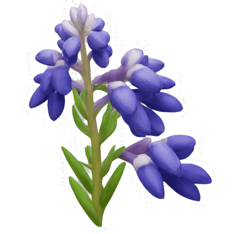 lupine emoji