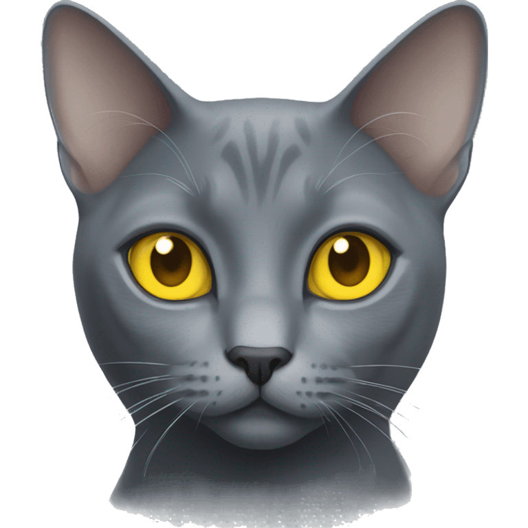 russian blue cat with yellow eyes  emoji