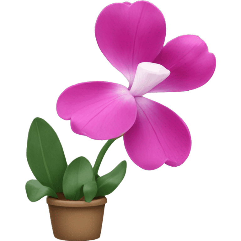 cyclamen flowrer emoji