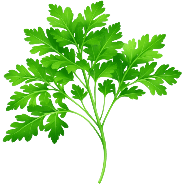 Cinematic Realistic Parsley Emoji, Fresh and vibrant, with bright green, frilly leaves that seem to shimmer with vitality. The plant exudes a sense of healthy growth and aromatic zest, inviting both beauty and flavor into any dish. Soft glowing outline, capturing the essence of freshness, health, and culinary delight in a sprig of parsley! emoji