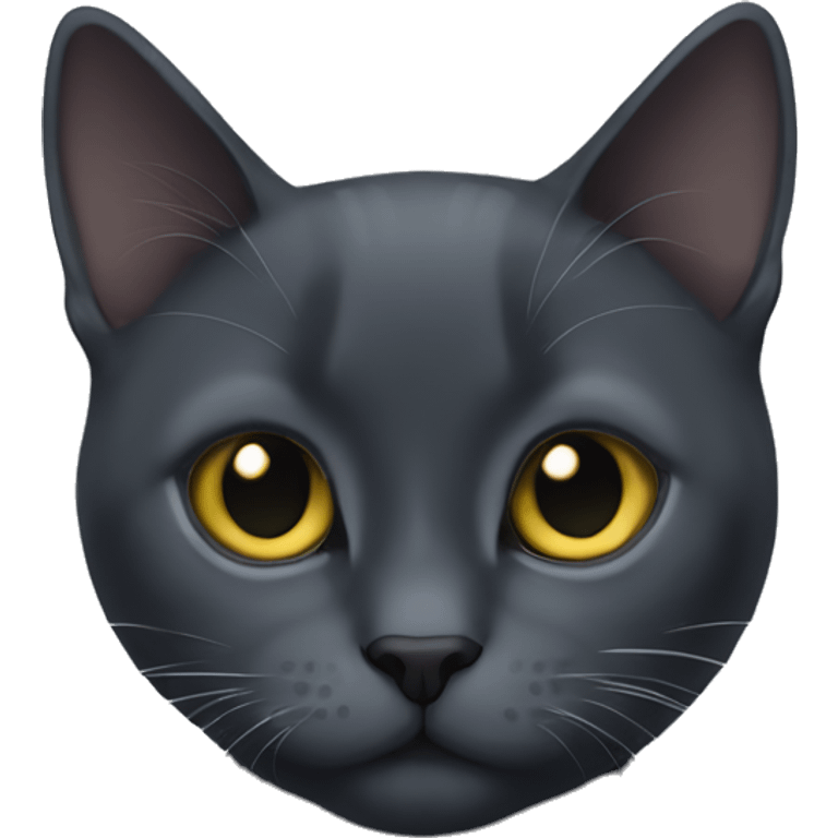 black cat russian blue emoji