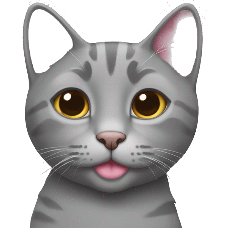 Grey cat with pink 🎀 emoji